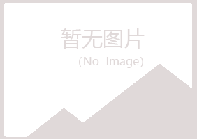 天山区冰烟建筑有限公司